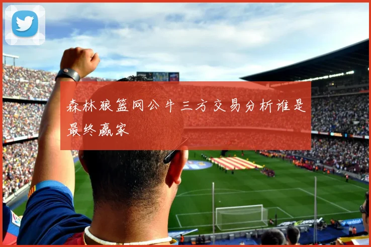 森林狼篮网公牛三方交易分析谁是最终赢家