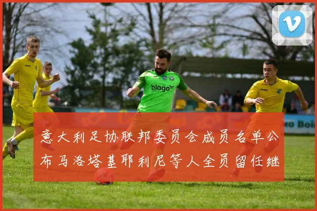 意大利足协联邦委员会成员名单公布马洛塔基耶利尼等人全员留任继续服务